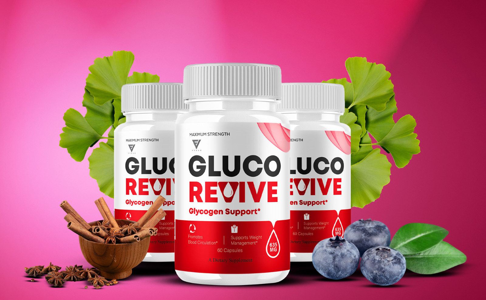 (5 Pack) Gluco Revive Blood Support Supplement GlucoRevive Pills (300 Capsules)