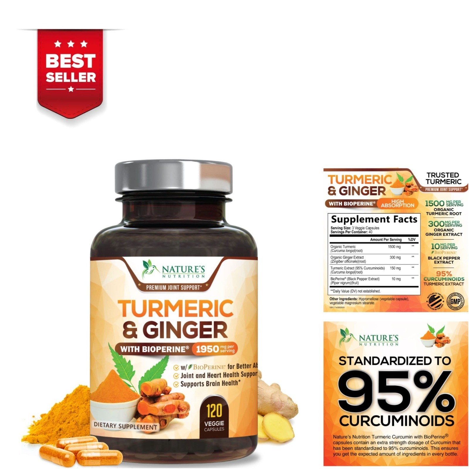Turmeric Curcumin Supplement – 95% Curcuminoids – 120 Capsules