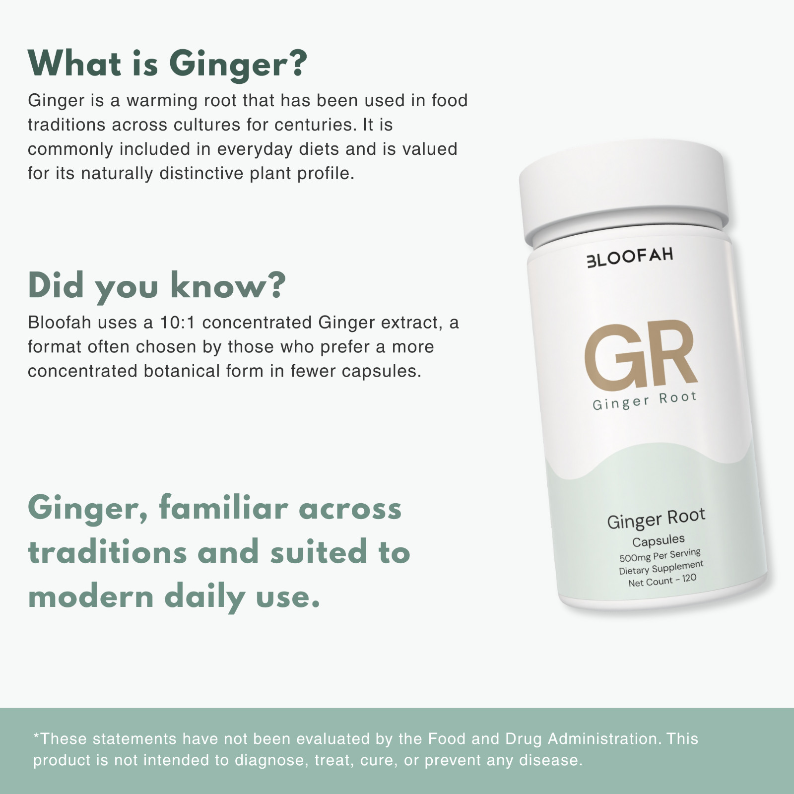 Bloofah GR Ginger Root Extract 10:1 500mg | 120 Capsules | Gingerols | Wellness