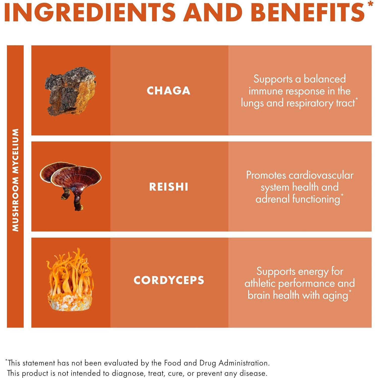 Host Defense Breathe,Herbal Lung Health w/Chaga,Reishi&Cordyceps,60VegCaps