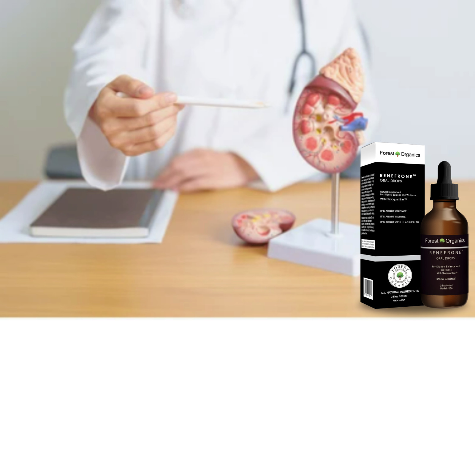 Kidney Health:Tincture Break Kidney Stones, Purifies Urinary Tract Chanca Piedra