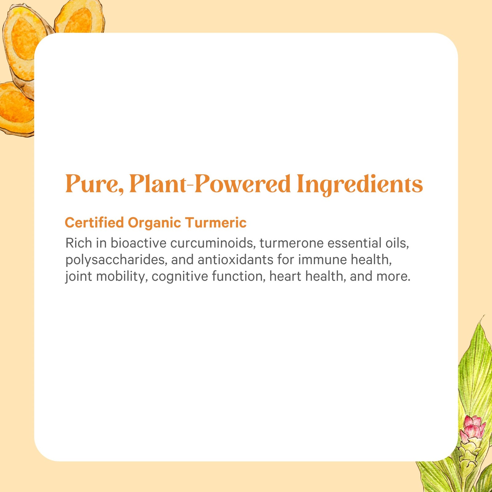 Pure Synergy SuperPure Turmeric Extract | 60 Count (Pack of 1), No Color