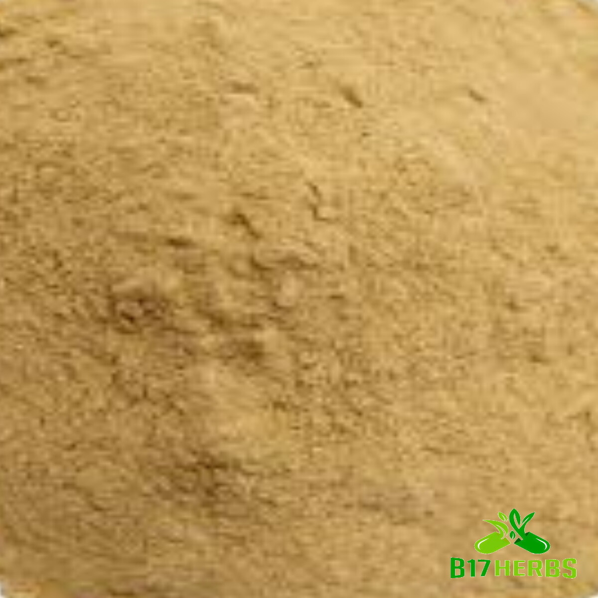 Gelatinized Maca Root Powder – Health, Wellness, Energy, Memory – 100 grams
