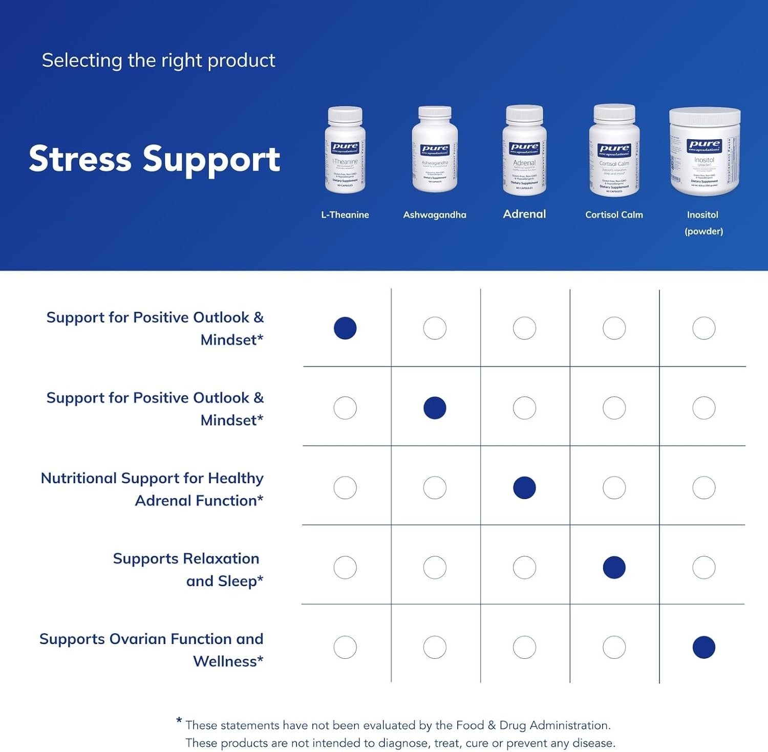 6X Pure Encapsulations L-Theanine, Stress & Relaxation Support 60ct Exp 02/2027