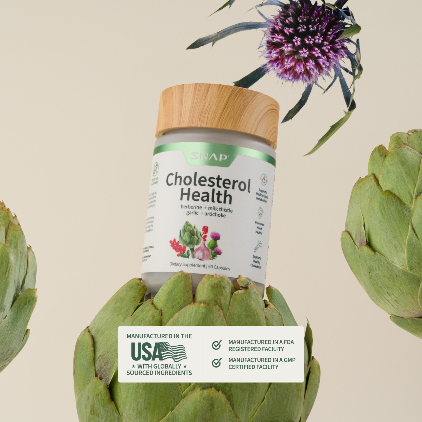 Cholesterol Health Snap Supplements Lipid Metabolism, Digestive Function, 60 Cap