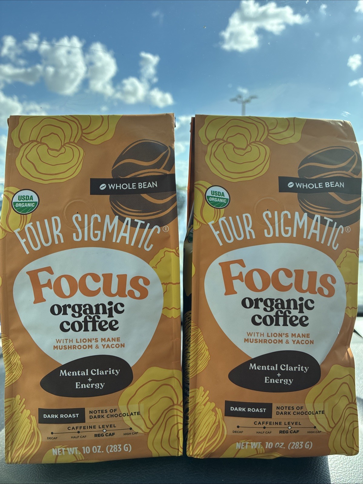 Four Sigmatic Focus Organic Coffee Whole Bean Dark Roast 10 oz Lot of 2 Mushroom