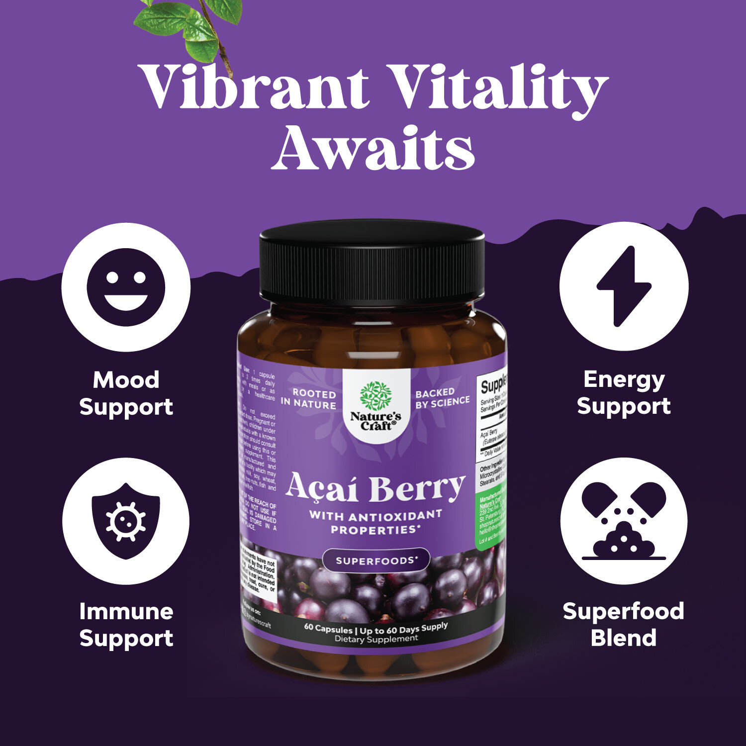 Acai Berry Antioxidant Support Weight Loss Supplement for Women and Men 60ct