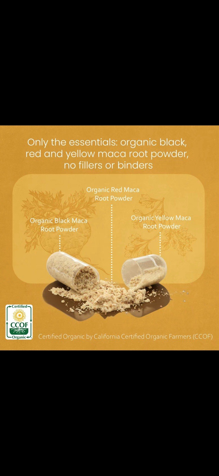NaturaLife Labs Organic Maca 1900 mg 150 Capsules Vegan Gluten-Free Exp 03/2029