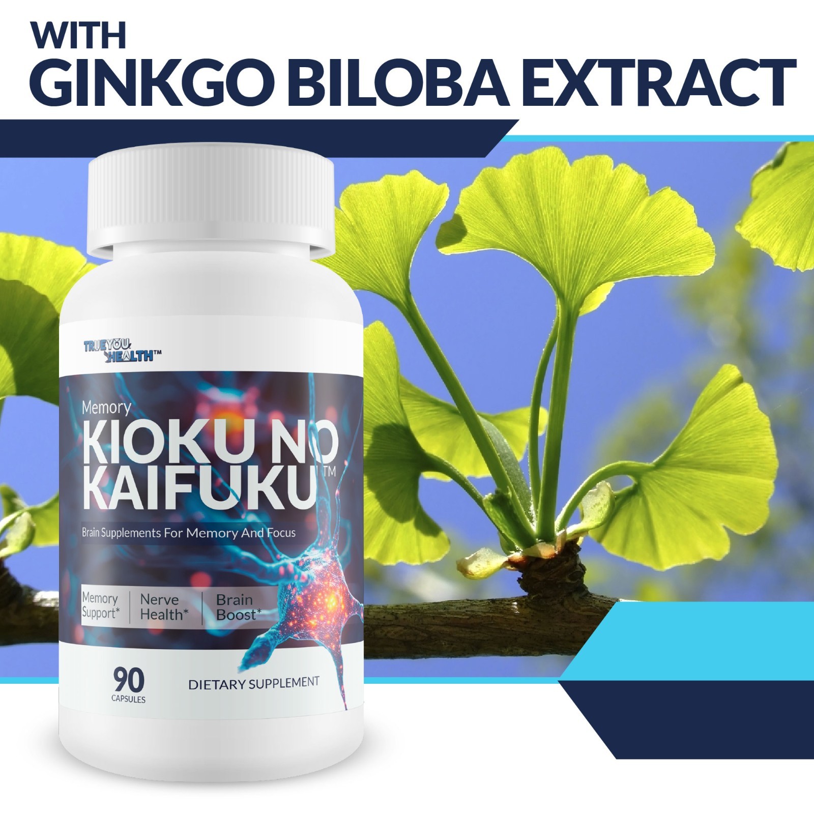 Memory Kioku No Kaifuku – Our Best Brain Supplements for Memory and Focus