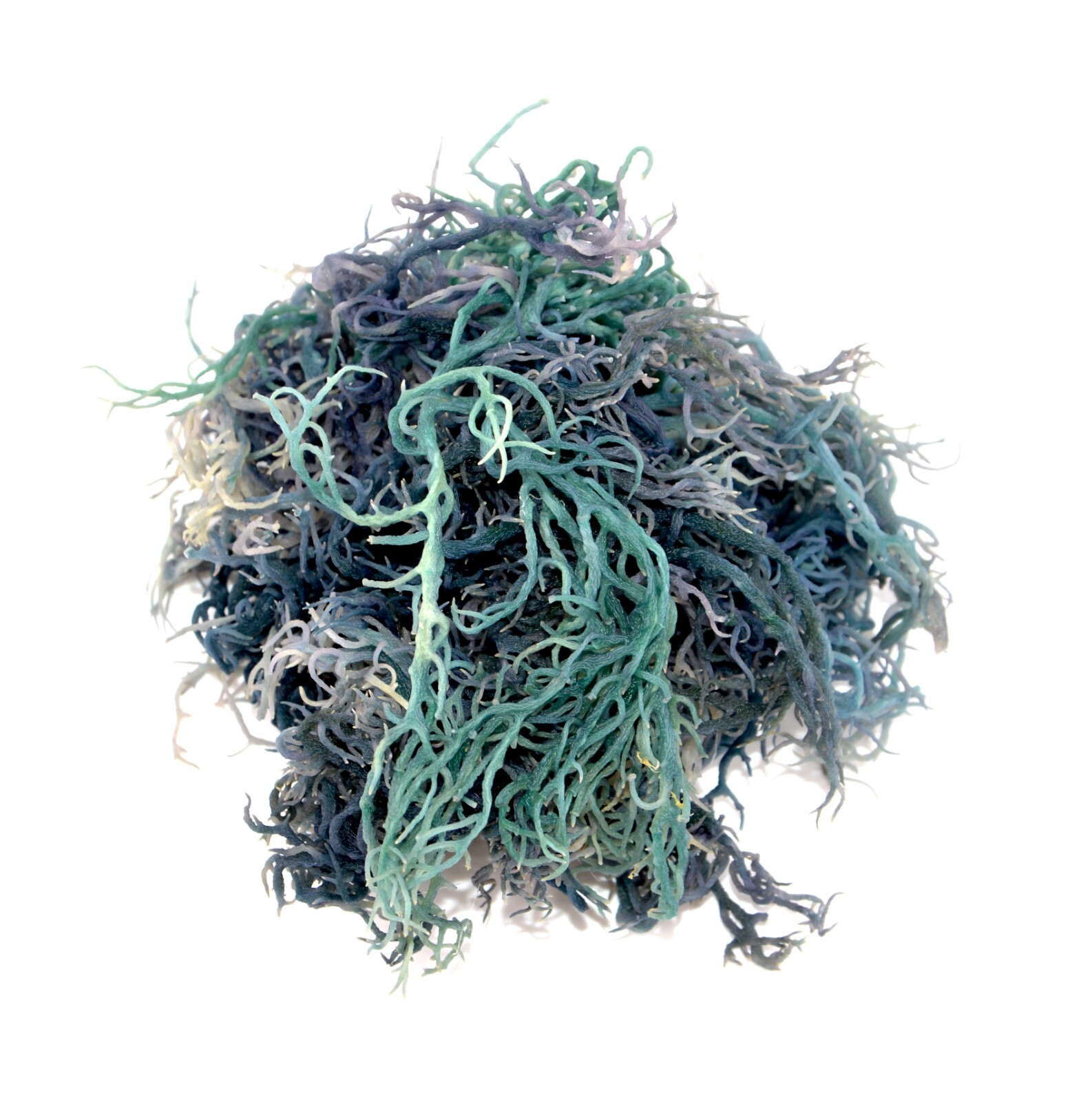 Green Sea Moss St Lucia / Dr Sebi Irish Moss Wildcrafted 100% Pure Raw