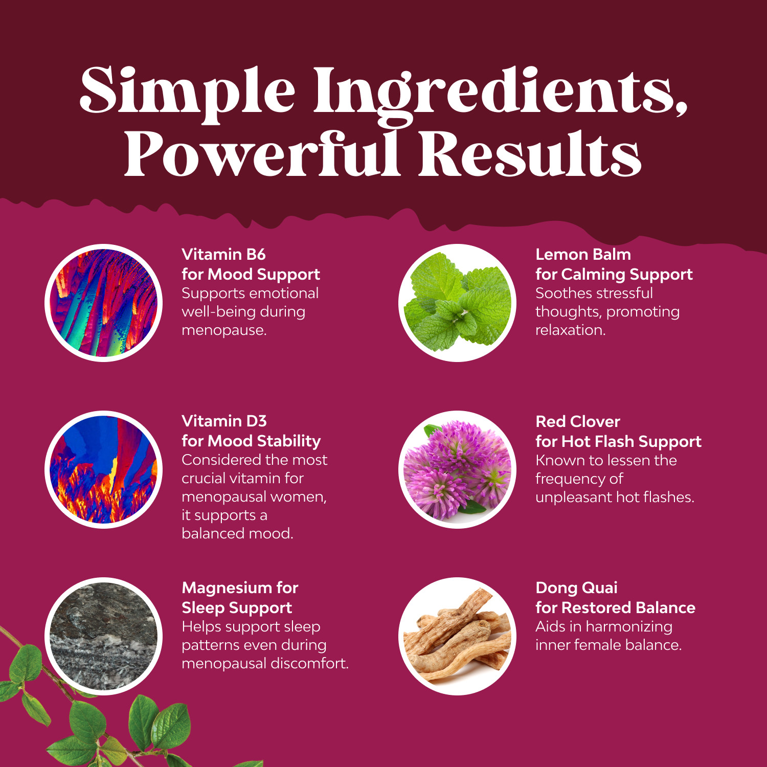 Complete Herbal Menopause Supplement for Women – Soy Free Hormone Balance 75ct