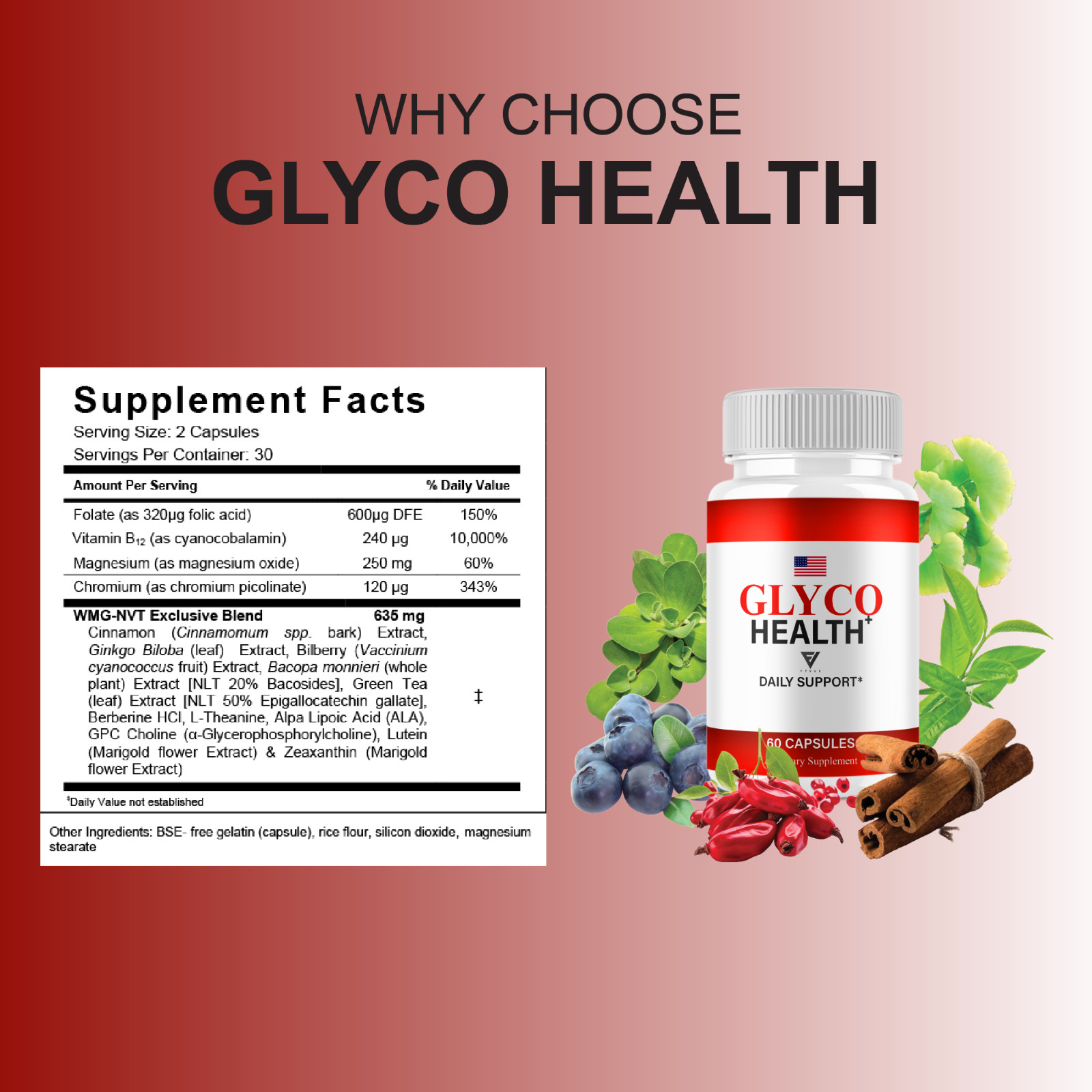 (5 Pack) Glyco Health Blood Health Support, GlycoHealth Pills (300 Capsules)