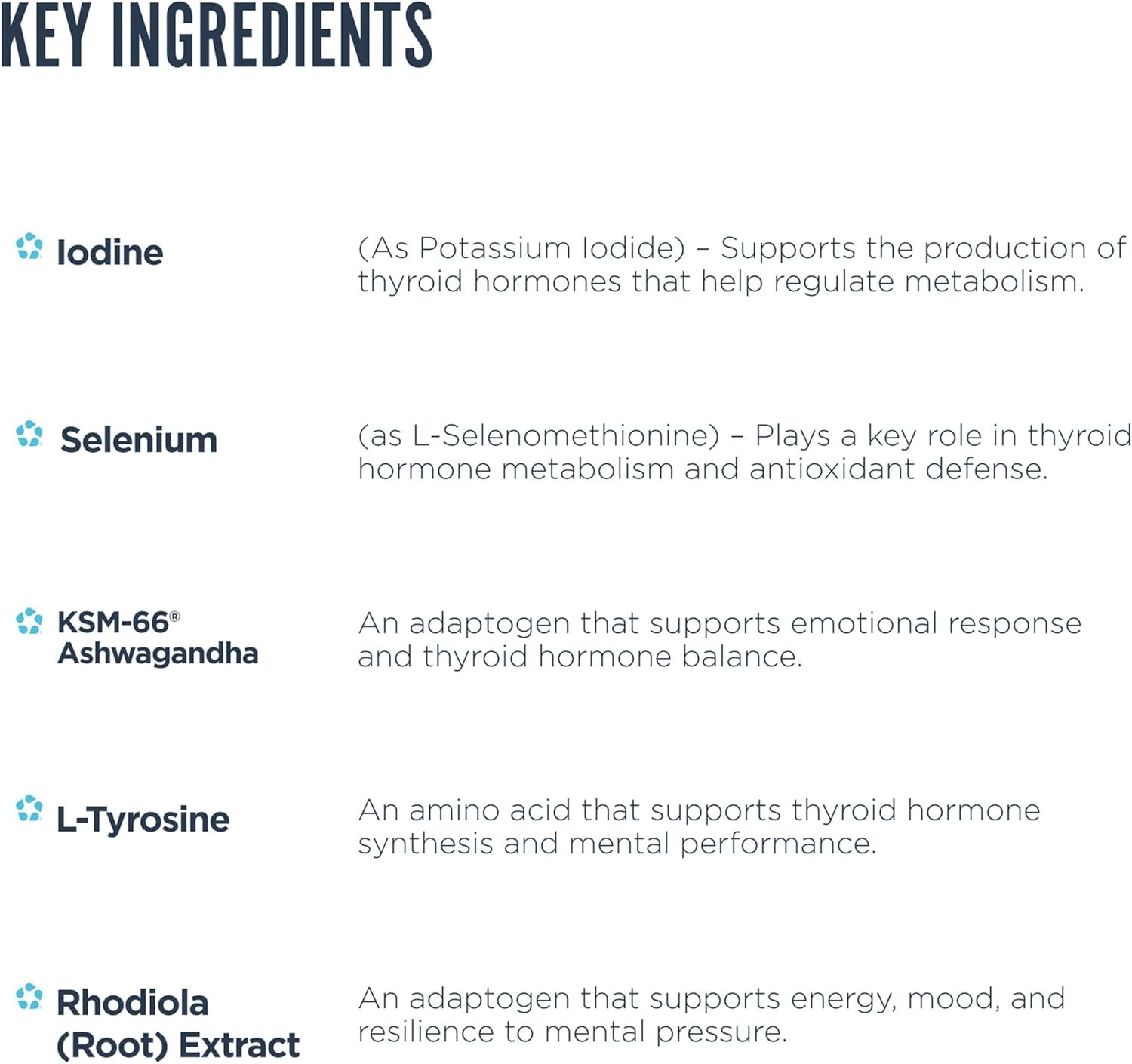Revive MD Thyroid Support Supplement for Men & Women – Comprehensive Blend