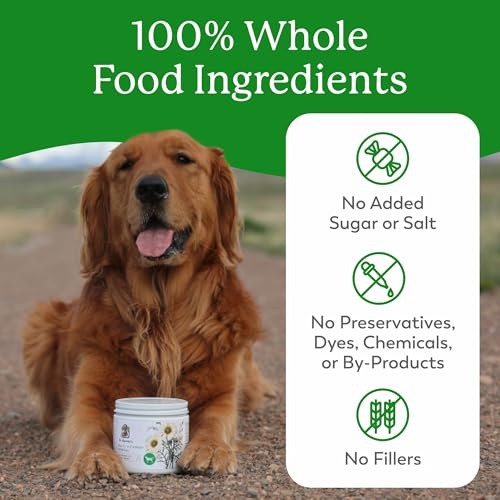 Dr. Harvey’s Herbal Multi-Vitamin & Mineral Supplement for Dogs (7 oz)