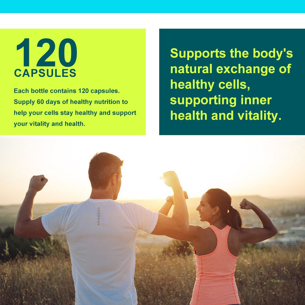 Amino 300mg Complex | Cellular Energy & Anti-Aging Support 30/60/120 Caps