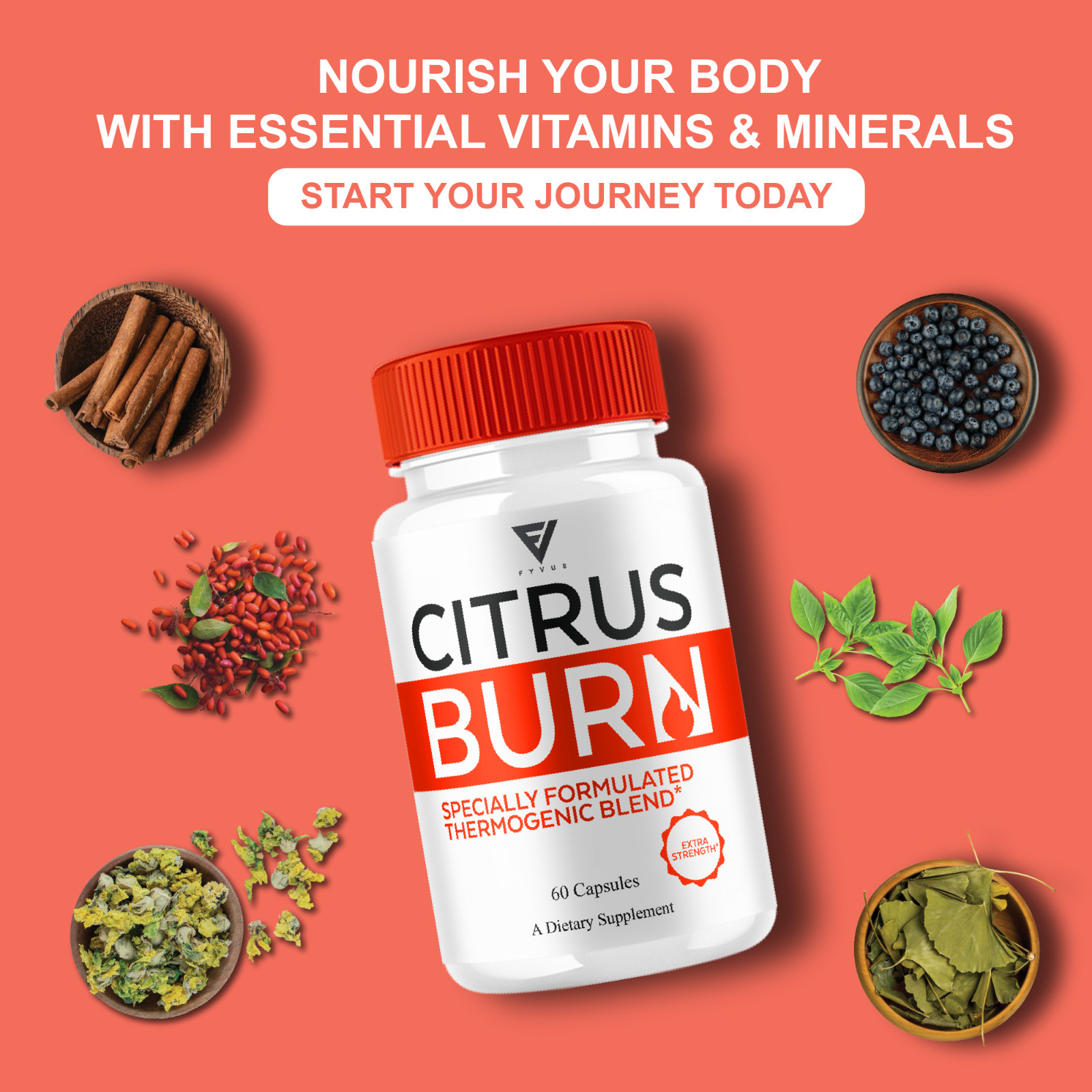 (5 Pack) Citrus Burn Weight Management, CitrusBurn Advanced Pills (300 Capsules)