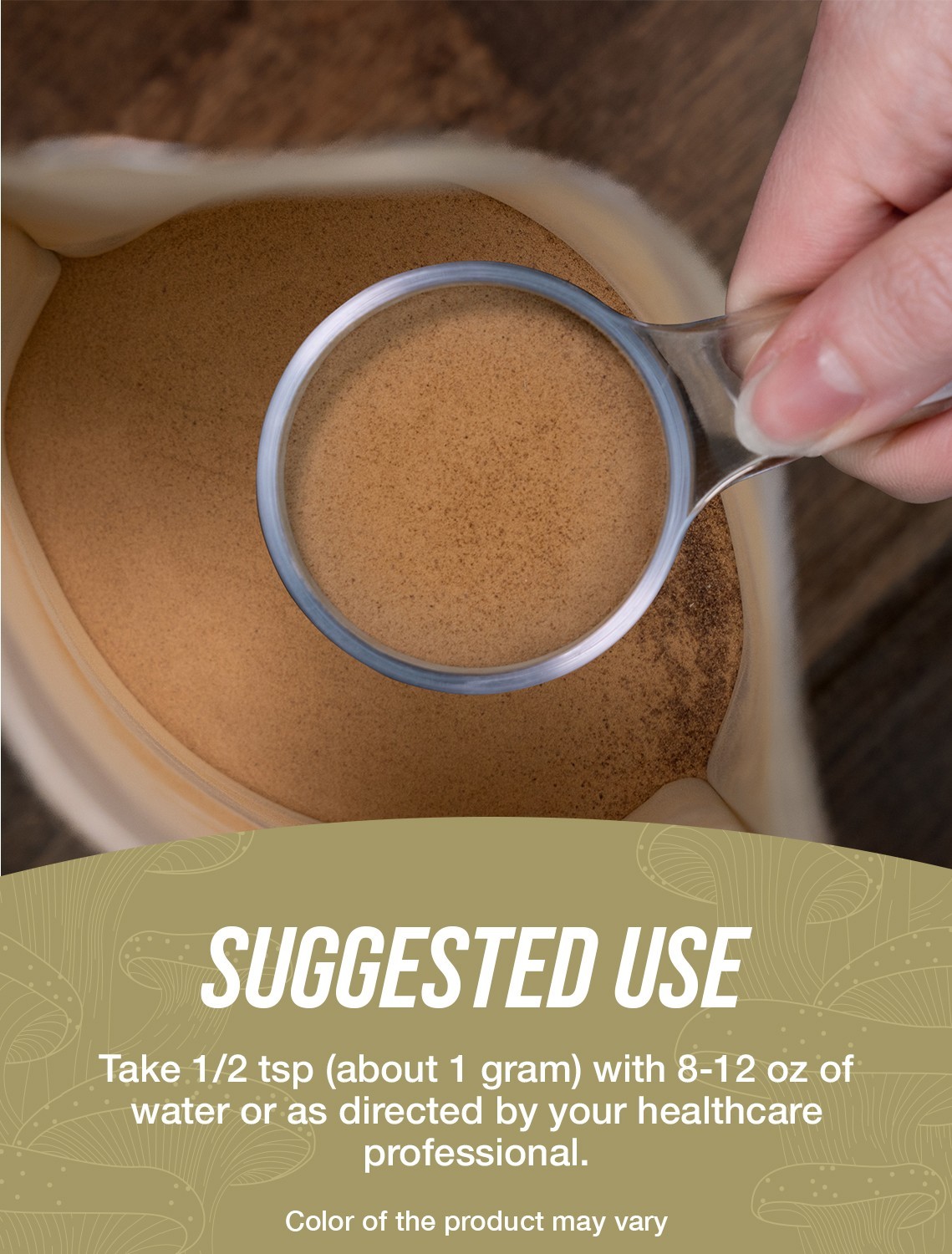 BulkSupplements Turkey Tail Mushroom Extract Powder – Boosts Gut Health