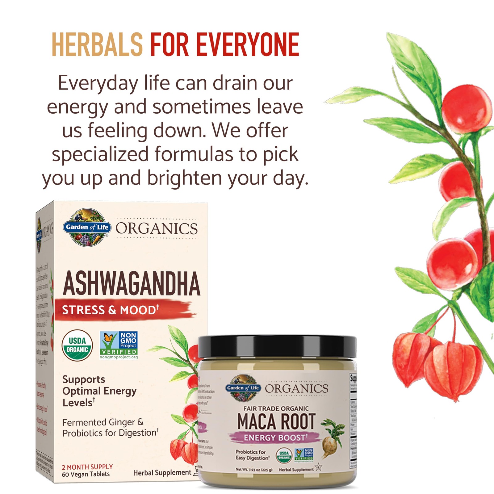 Garden of Life Organic Ashwagandha Supplement 60 Count (Pack 1), No Color