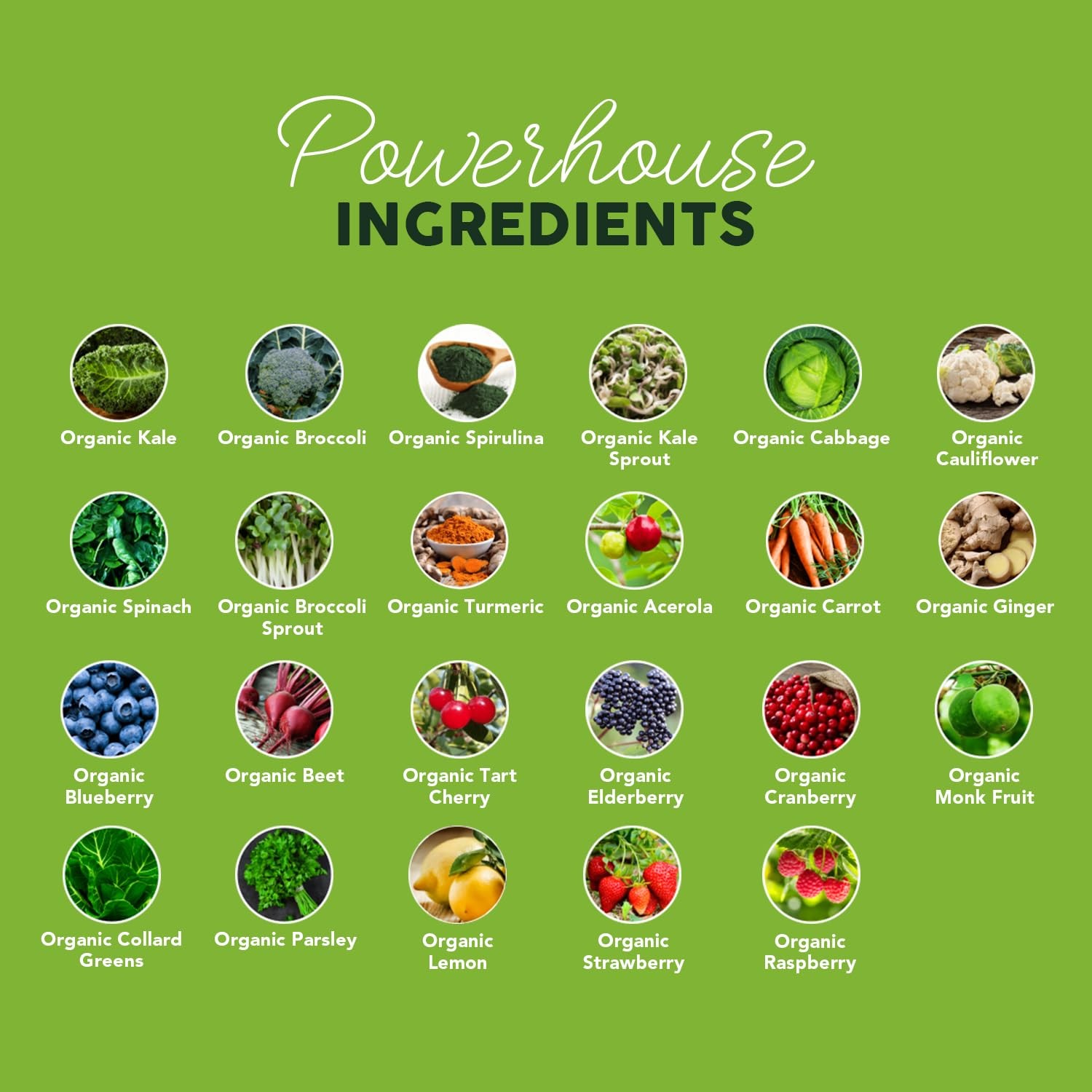 Paleovalley Organic Supergreens Powder – 23 Superfoods Prebiotic Fiber For