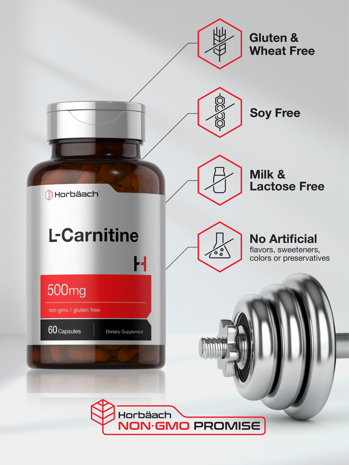 L Carnitine 500 mg | 60 Capsules | Non-GMO, Gluten Free | by Horbaach