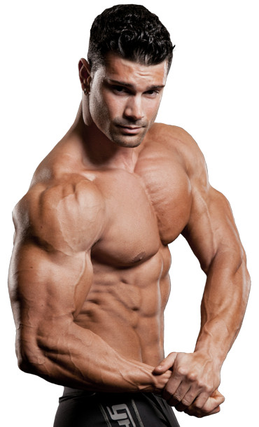 nitric oxide supplement – NITRIC OXIDE 2400 – muscle gainer – 2 Bottles
