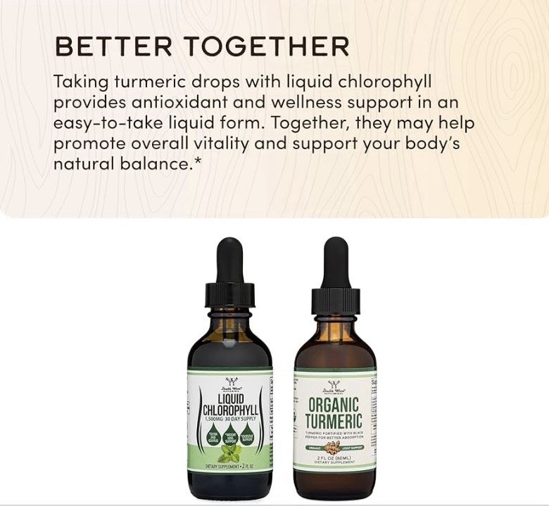 Double Wood Supplements Liquid Chlorophyll 1500mg 2 fl oz Peppermint GMP USA