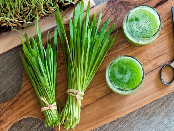 Barley Grass Powder | 4oz to 5lb | 100% Pure Natural Hand Crafted