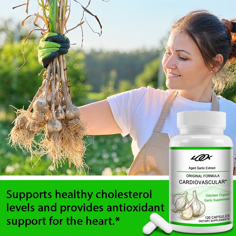 Aged Garlic Extract Original Formula Cardiovascular Healthy 700 mg