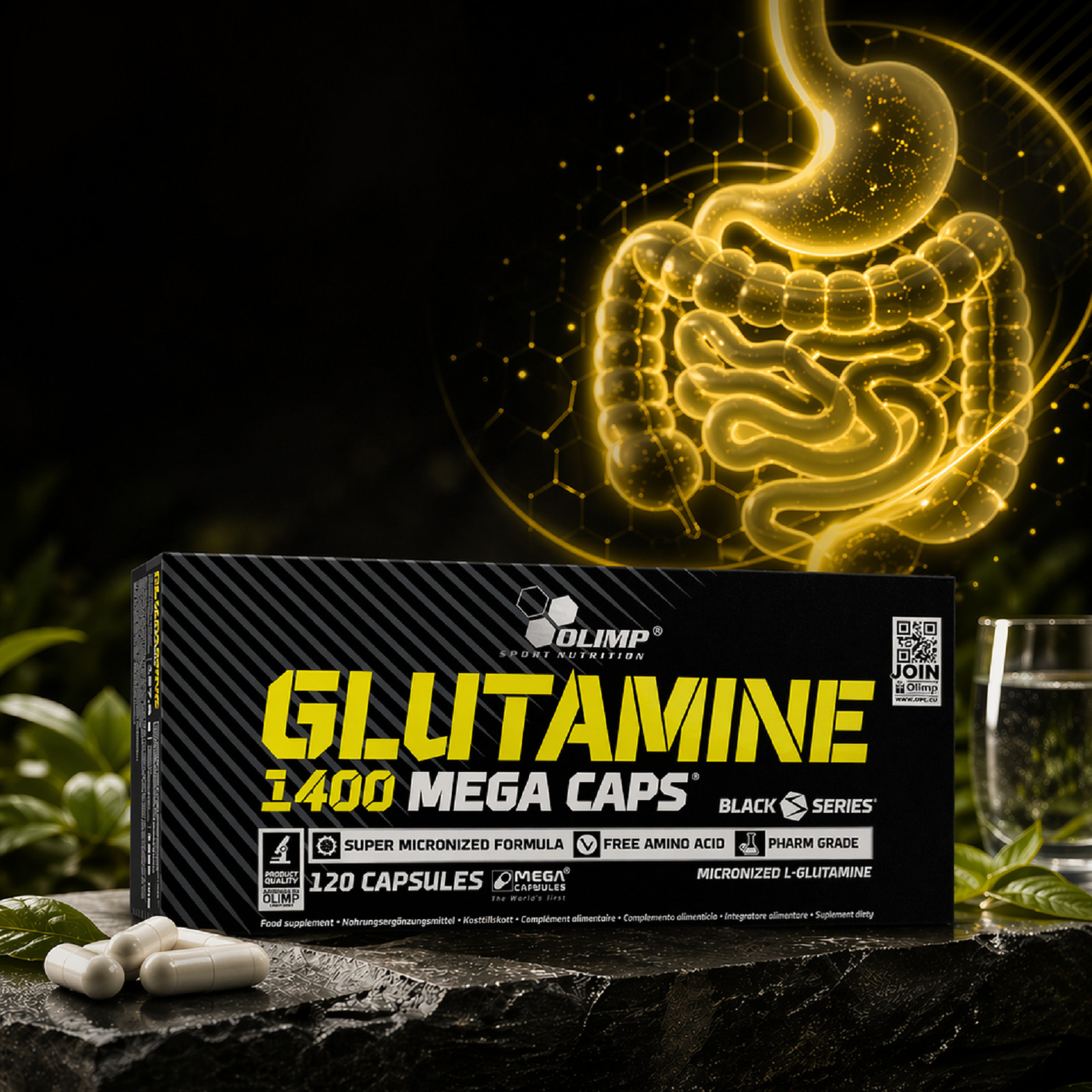 GLUTAMINE – 90-180 Capsules – Blisters – Immune System – Muscle Regeneration