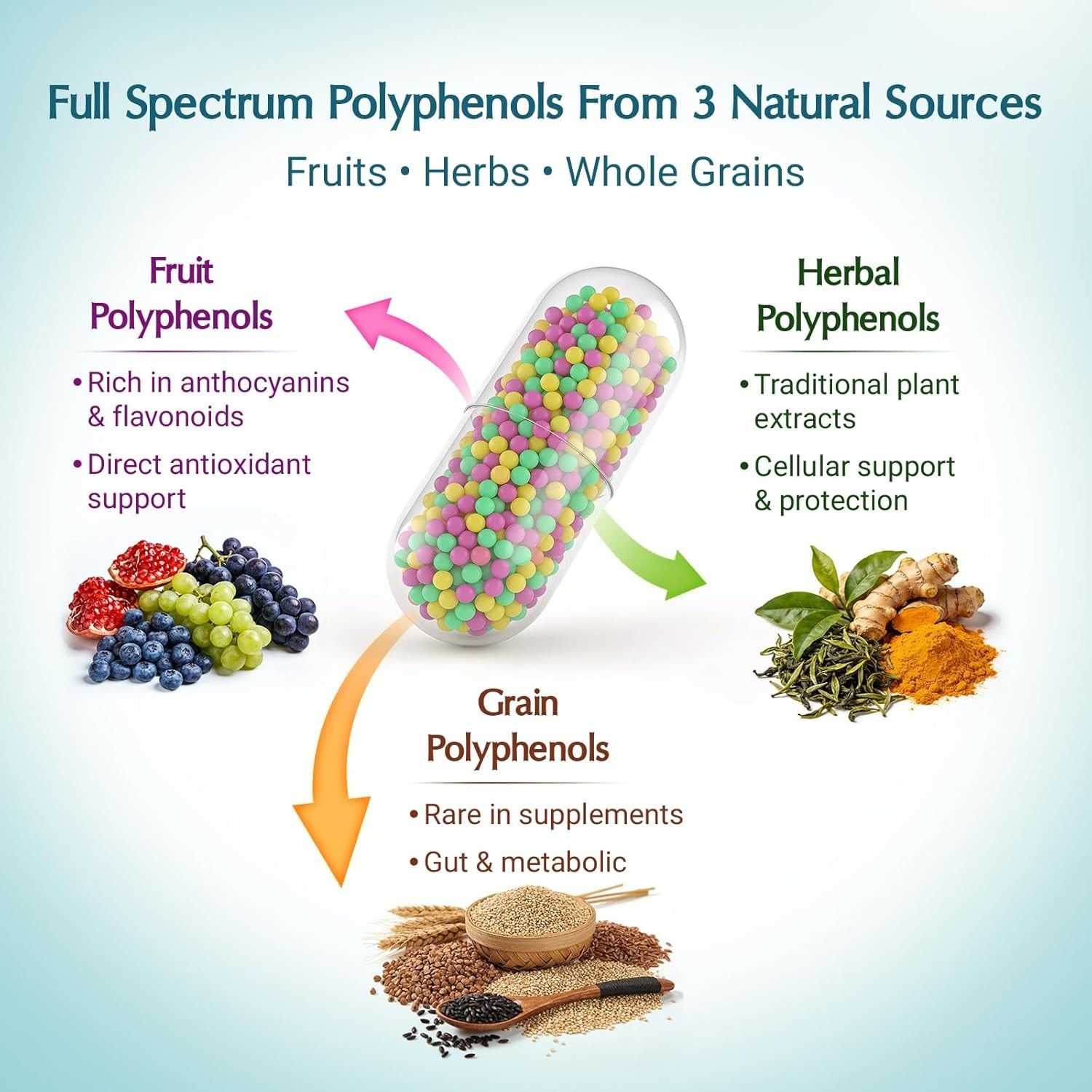 Polyphenols Supplement 1500mg – Over 20 Fruit, Herbal & Cereal Full Spectrum