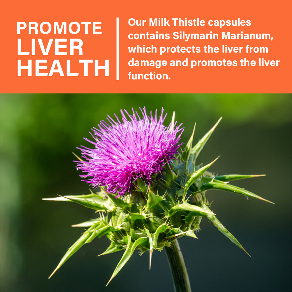 Liver Support, Cleanse Detox Repair Health Milk Thistle N-Acetyl L-Cysteine ALA