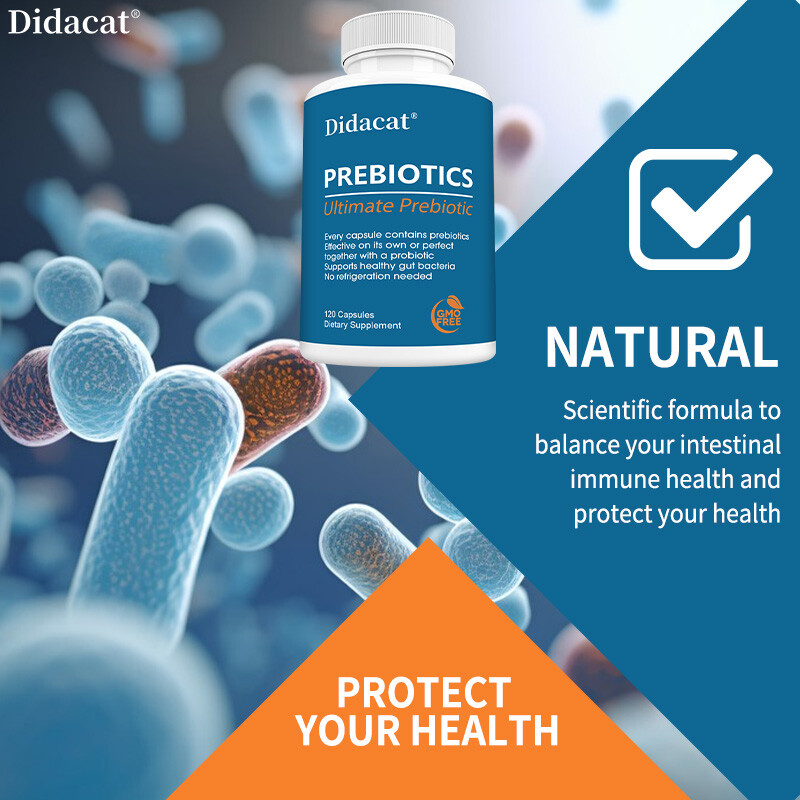 Prebiotic Supplement Protect Intestinal Health & Digestive System Health