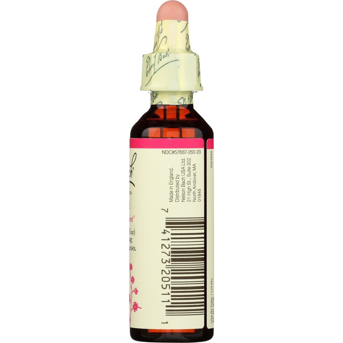Bach Be Efficient Elm Homeopathic Flower Remedies Solution 20 Ml Tablets 1 Pack