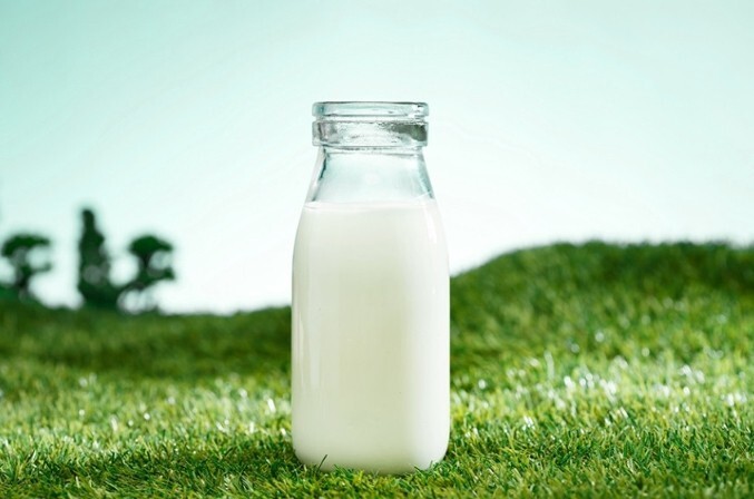 100% Yak Milk Colostrum Protein Powder Dutch Sheep Milk Powder 150g