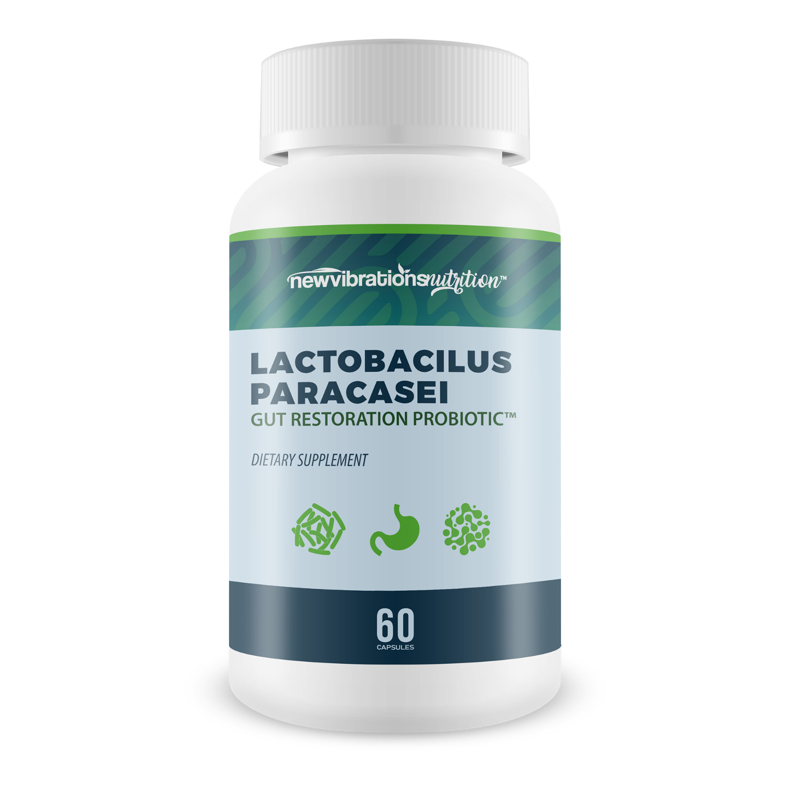 Lactobacillus Paracasei Gut Restoration Probiotic – Our Best Lactobacillus
