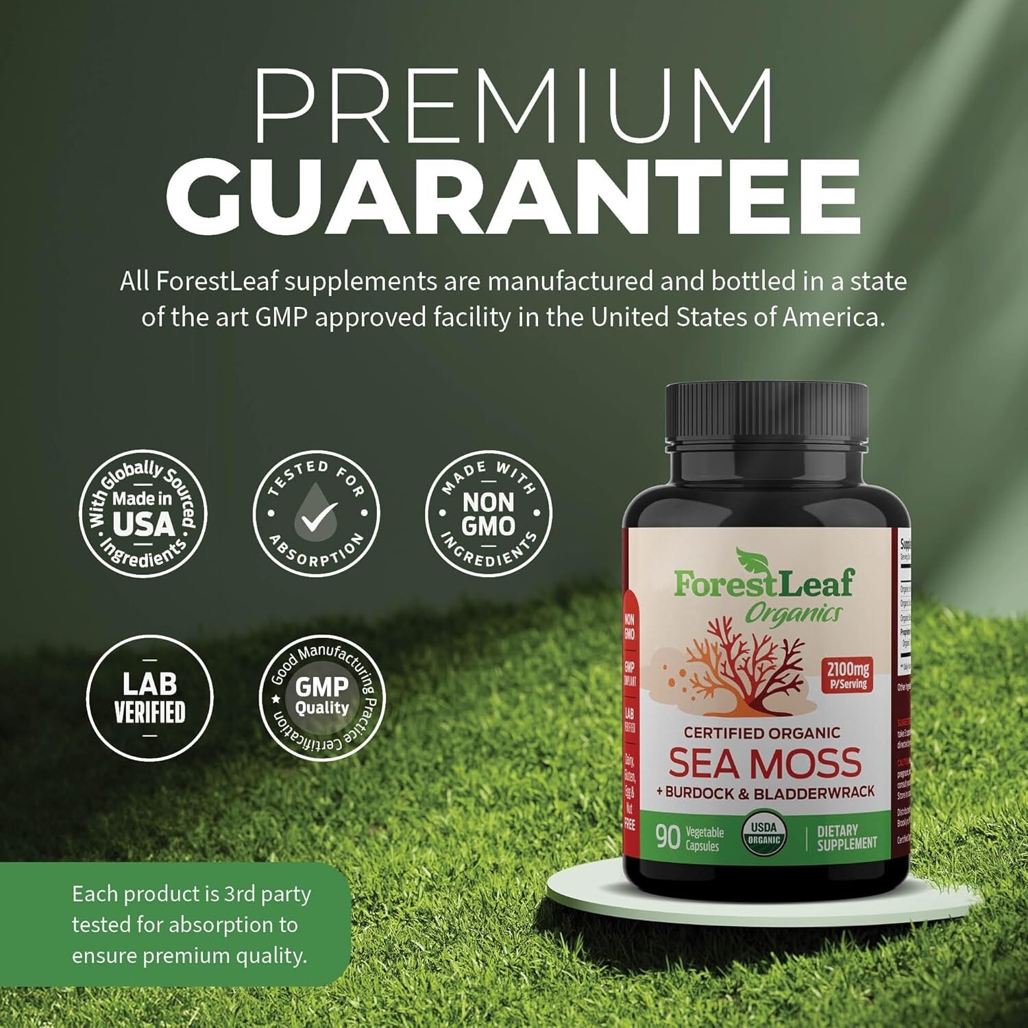 2 PACK ForestLeaf Organic Sea Moss Bladderwrack Burdock Root 180 Veg Cap USAMADE