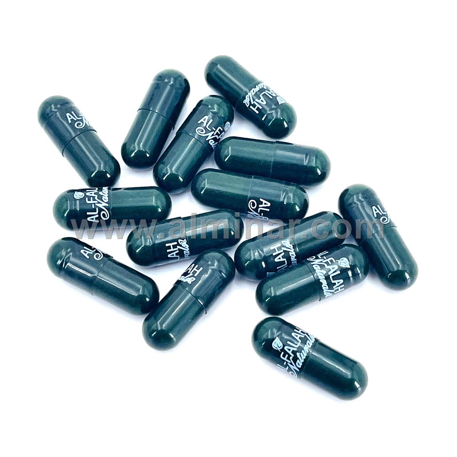 Bitter Melon 4:1 Premium Extract 500mg [60 Vegetarian/Halal Capsules] Exp 02/24