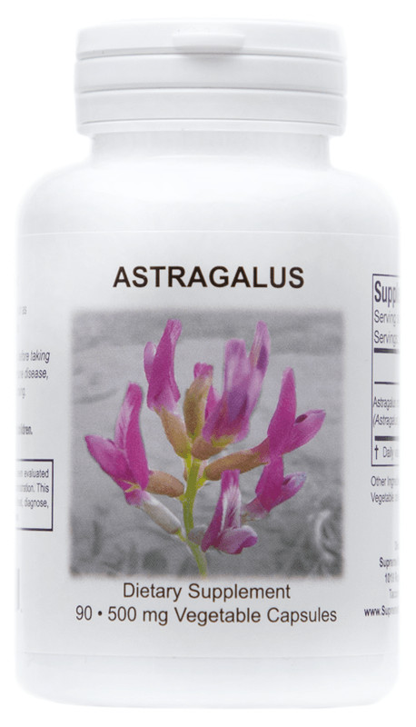 Astragalus by Supreme Nutrition Products – 500 mg/Capsule – 90 Capsules