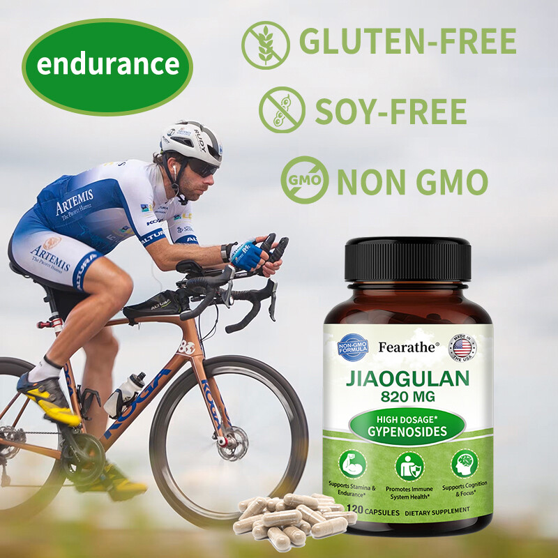 Jiaogulan 820mg – Gynostemma Pentaphyllum AMPK Activator, Caffeine-Free