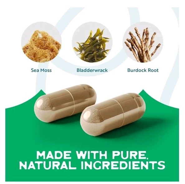 Herbal Vineyards Sea Moss 1500mg 60 Capsules Bladderwrack & Burdock Vegan