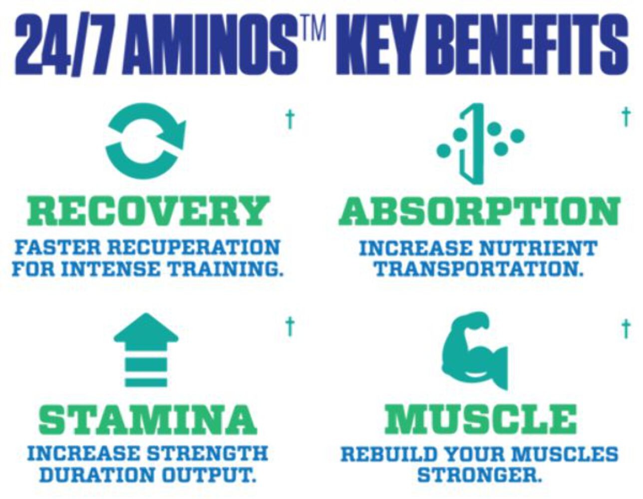 MyoBlox 24/7 Aminos – Best BCAA, EAA