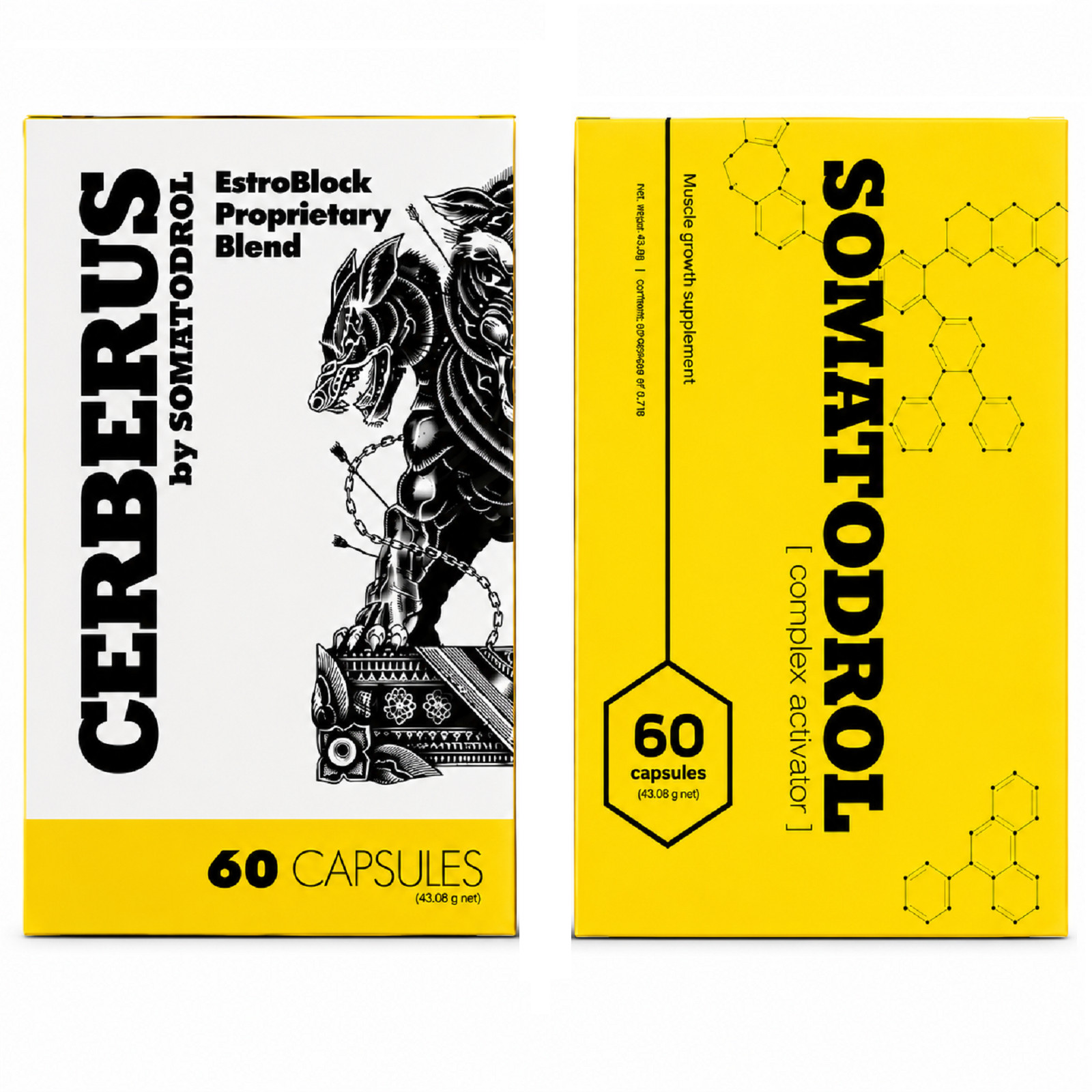 CERBERUS & SOMATODROL -Regeneration Strength Muscles Testo-booster, Gym, Energy
