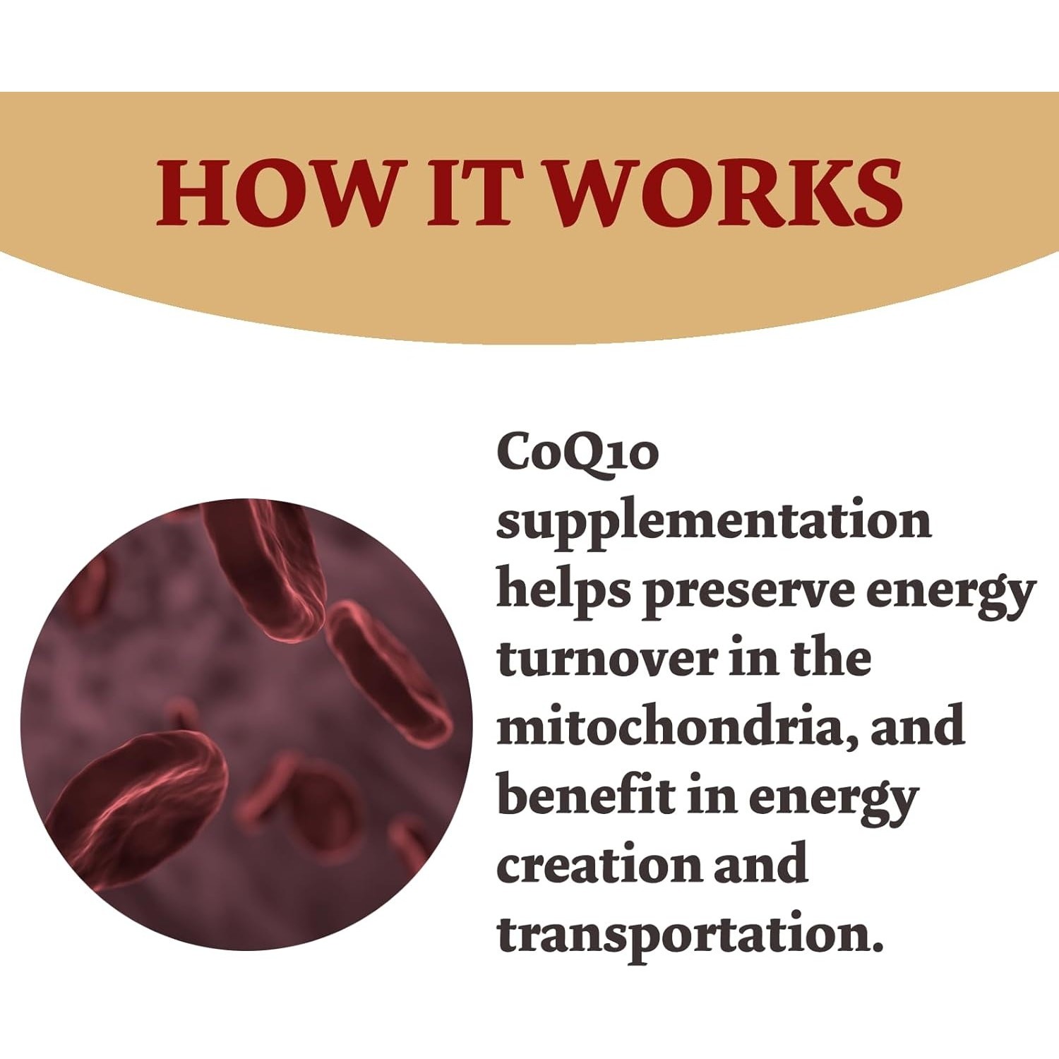 CoQ10 300mg High Absorption 120 Capsules Non-GMO Gluten-Free Dietary Supplement