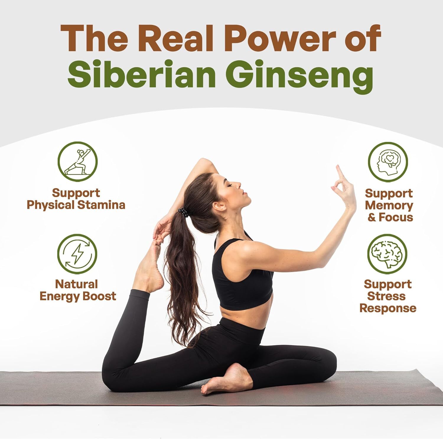 Siberian Ginseng Powder 4:1 Extract 4x times Stronger Non-Gmo 4oz | 1lb