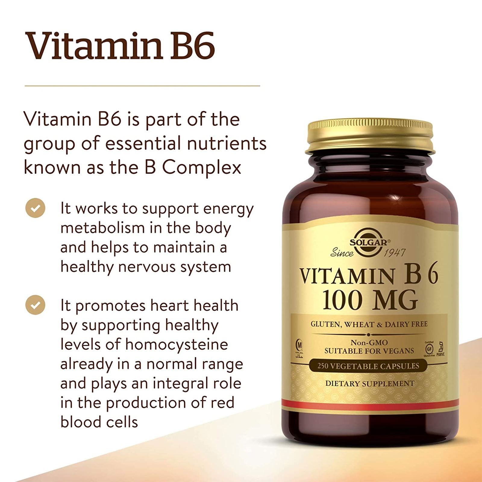 Solgar Vitamin B6 100 mg 250 Vegetable Capsules, Energy Metabolism