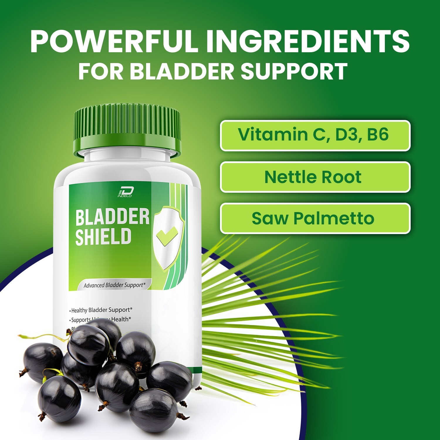 (2 Pack) Bladder Shield Supplement for Men – BladderShield Pills Advanced