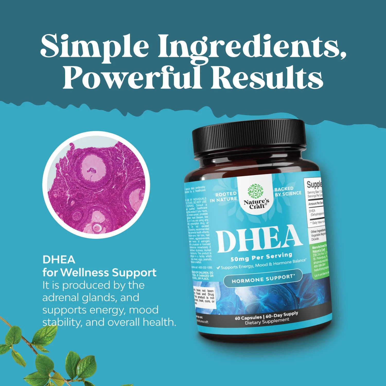DHEA 50mg for Men and Women – High Strength for Enhanced Energy and Hormone 60ct