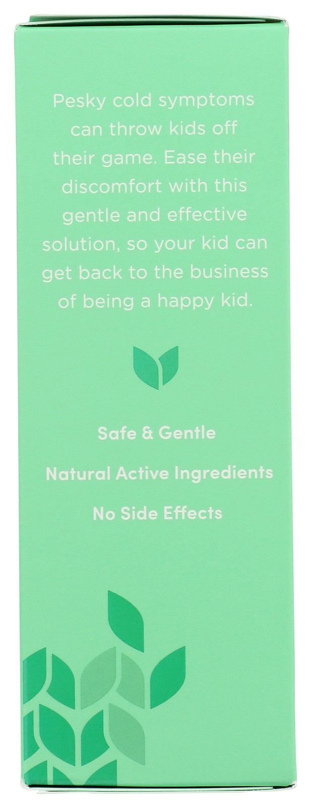 Hyland’S Naturals Kids Cold & Cough Daytime 4 Fl Oz 3 Pack