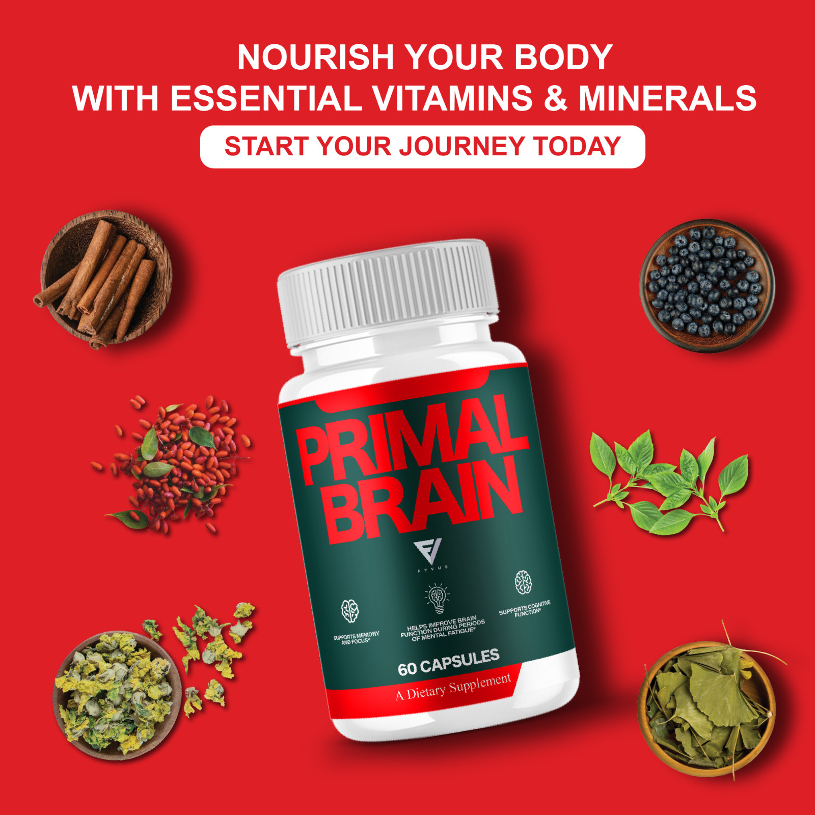 Primal Brain Supplement, Primal Brain Nootropic Pills (60 Capsules)