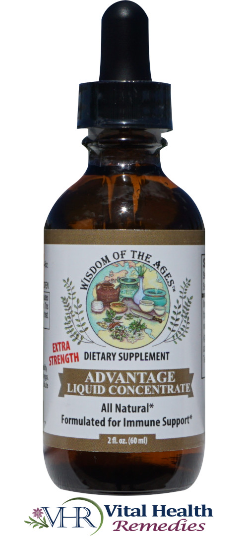 Wisdom of the Ages® – Advantage Liquid Concentrate – 2 fl oz – GSE